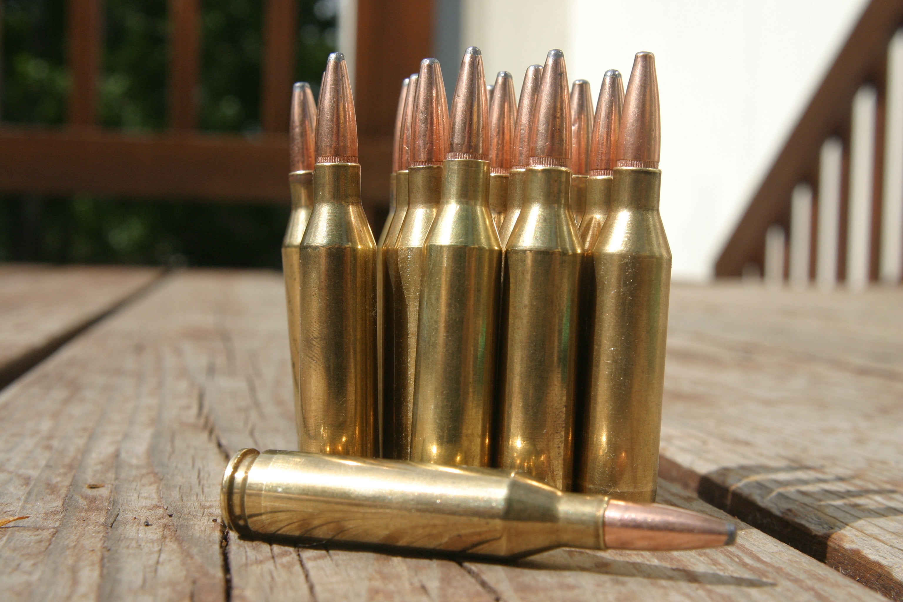 A Guide To Rifle Bullets For Big Game Hunting AllOutdoor