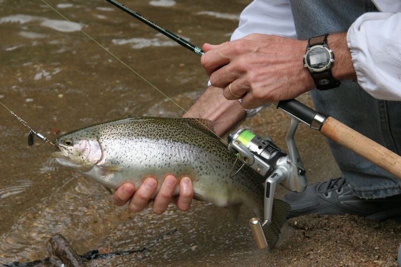 Fishing for Autumn Trout