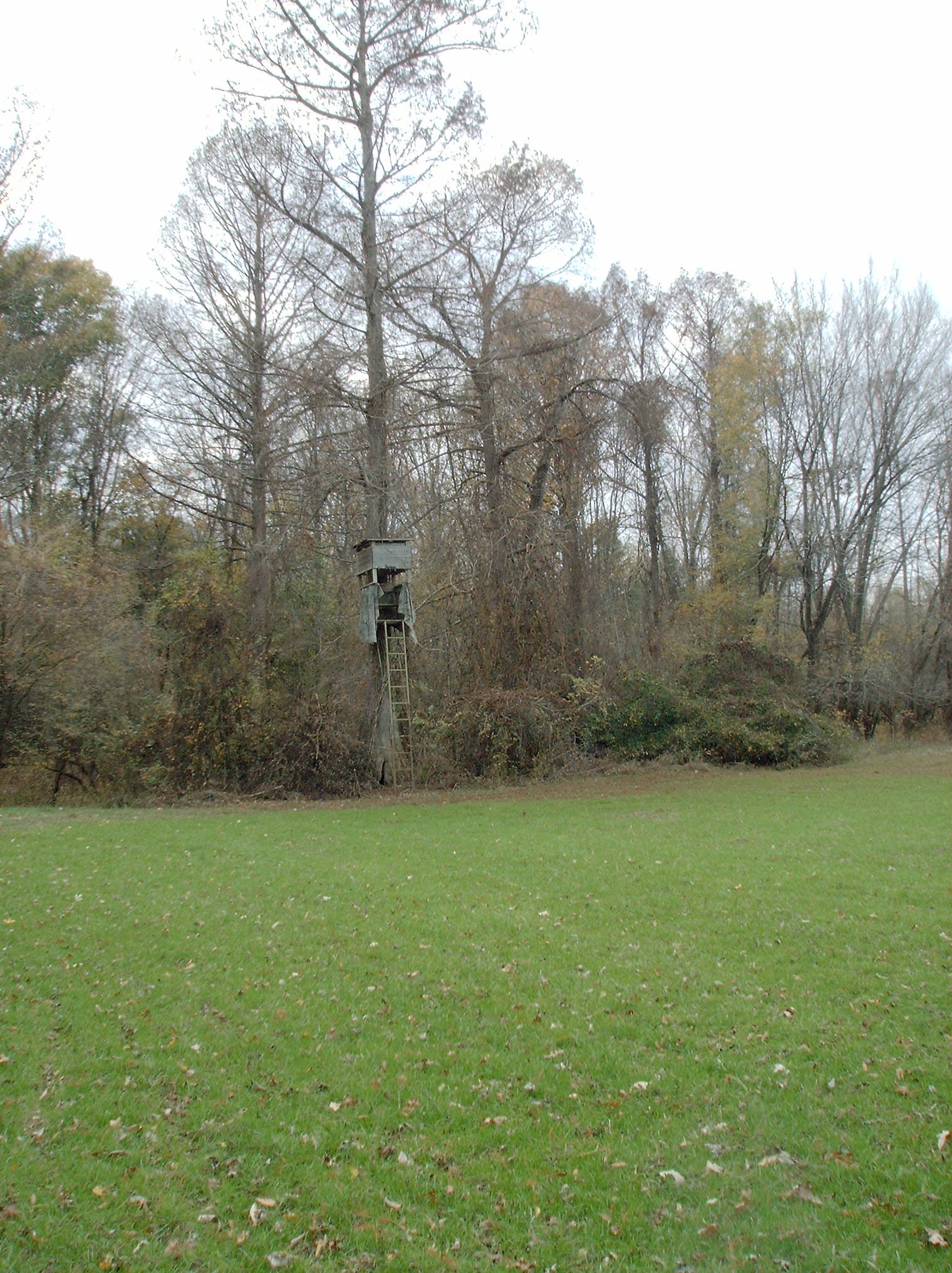 Plotting Wildlife Food Plots