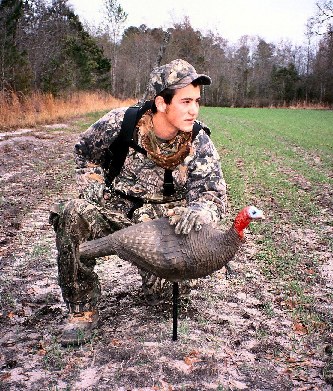 Turkey Decoy Tips for Success