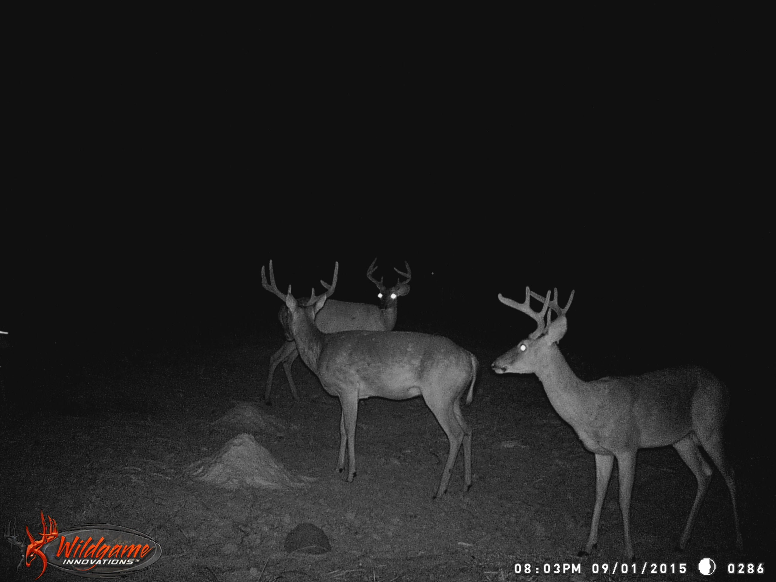 Making Trail Cameras Work Better