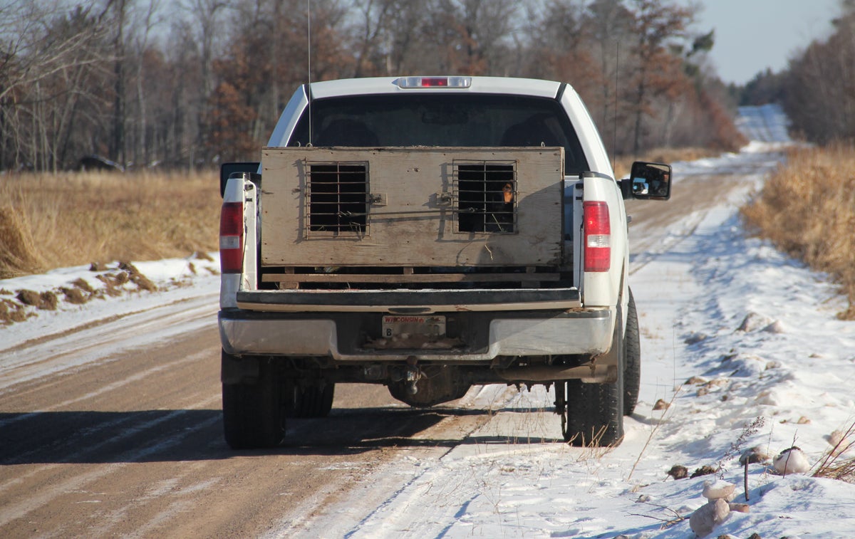 Proposed Wisconsin Law to Strengthen Hunter Harassment Penalties