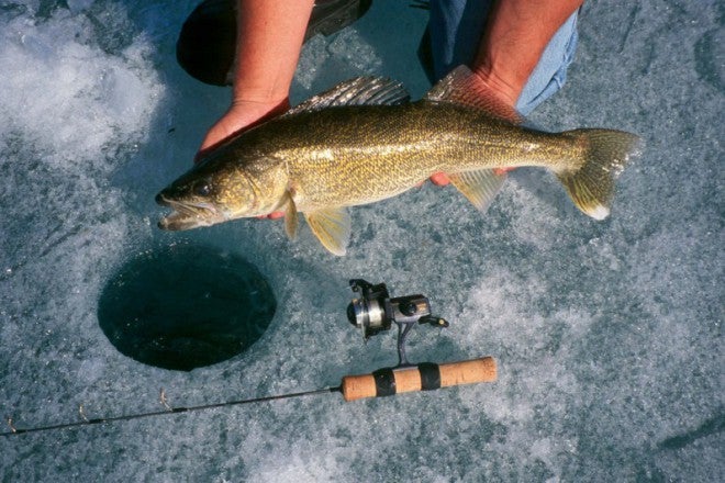  Walleye Ice Fishing Tactics - AllOutdoor.com