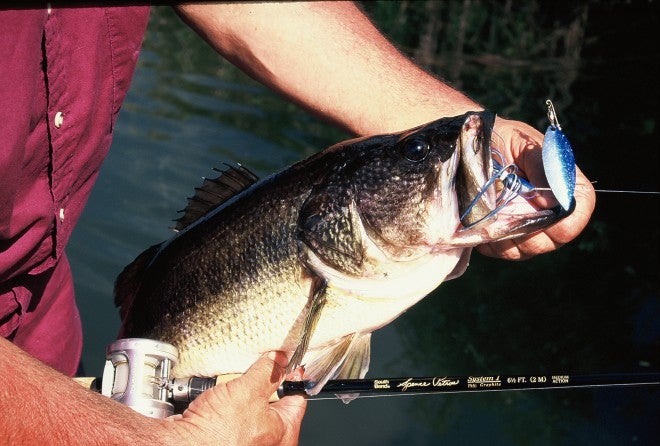 Lure Speed Critical for Pre-Spawn Bass Success - AllOutdoor.com