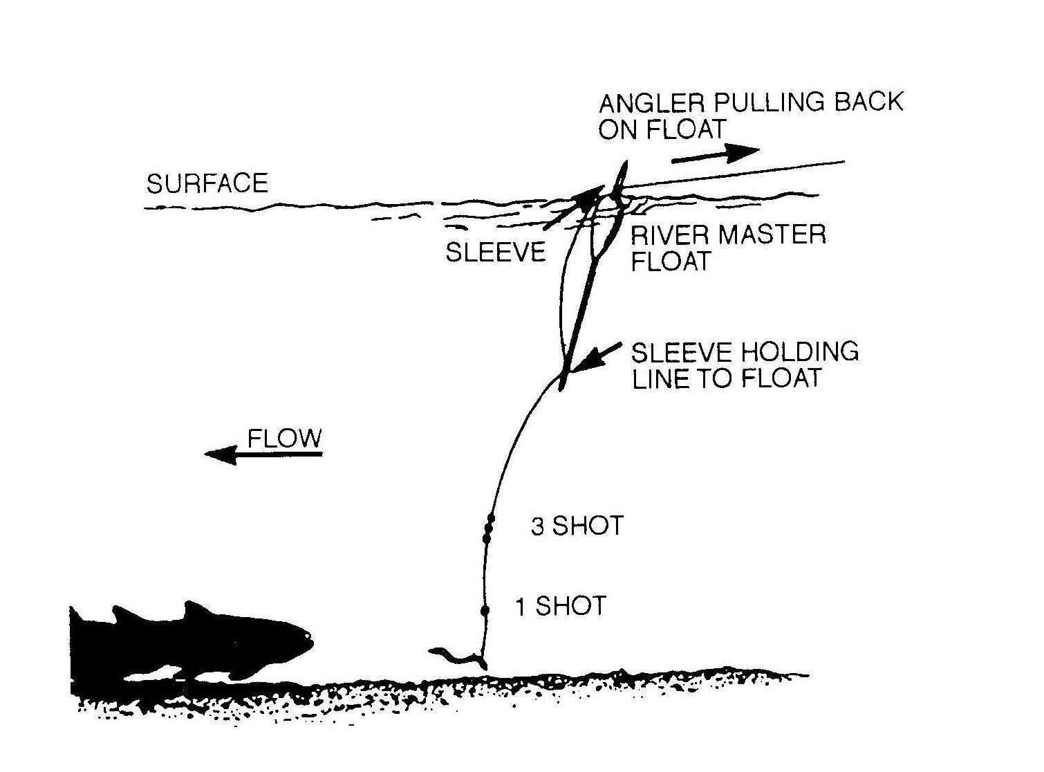 Tight Line Trout Tactics - AllOutdoor.com