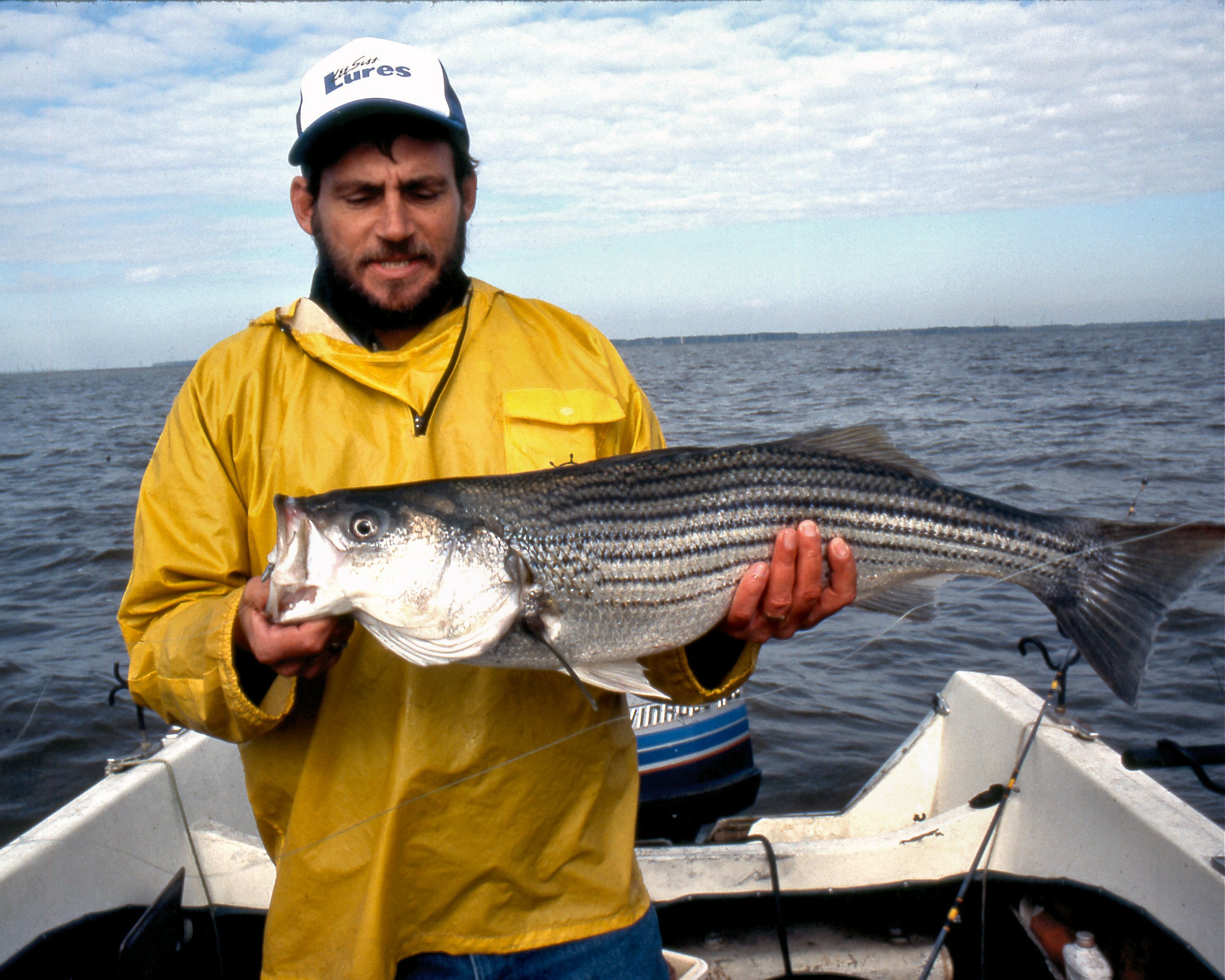 Summer Fishing Spot: Tennessee’s Pickwick Reservoir Prime For Stripers