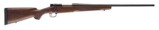 Best Deer Rifles Ever Made, Part 1 - AllOutdoor.com