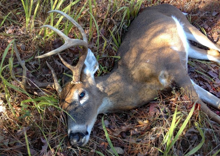 Review: Winchester Deer Season XP Bullets Designed Just for Deer ...