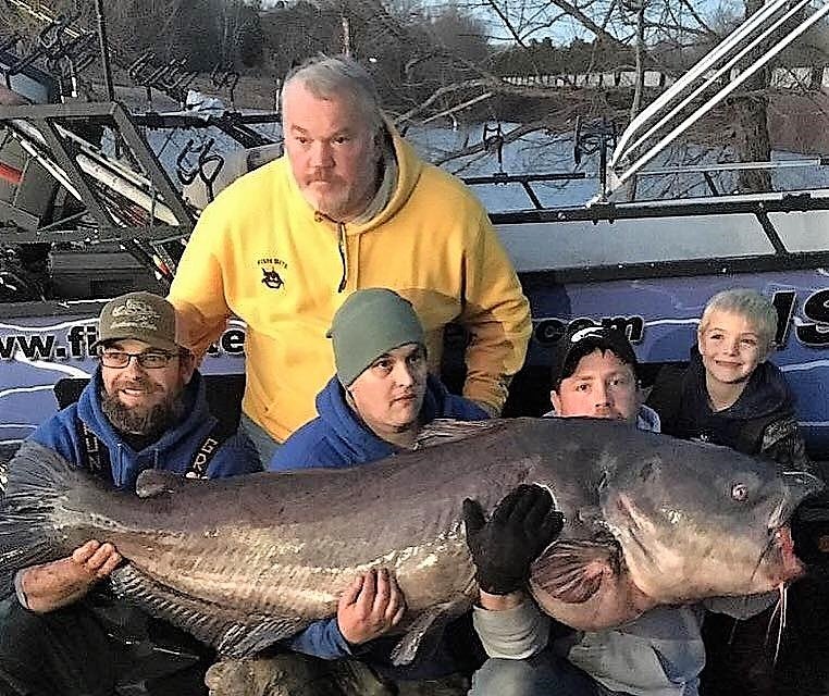 Monster Blue Catfish Caught, Released in Virginia Tournament