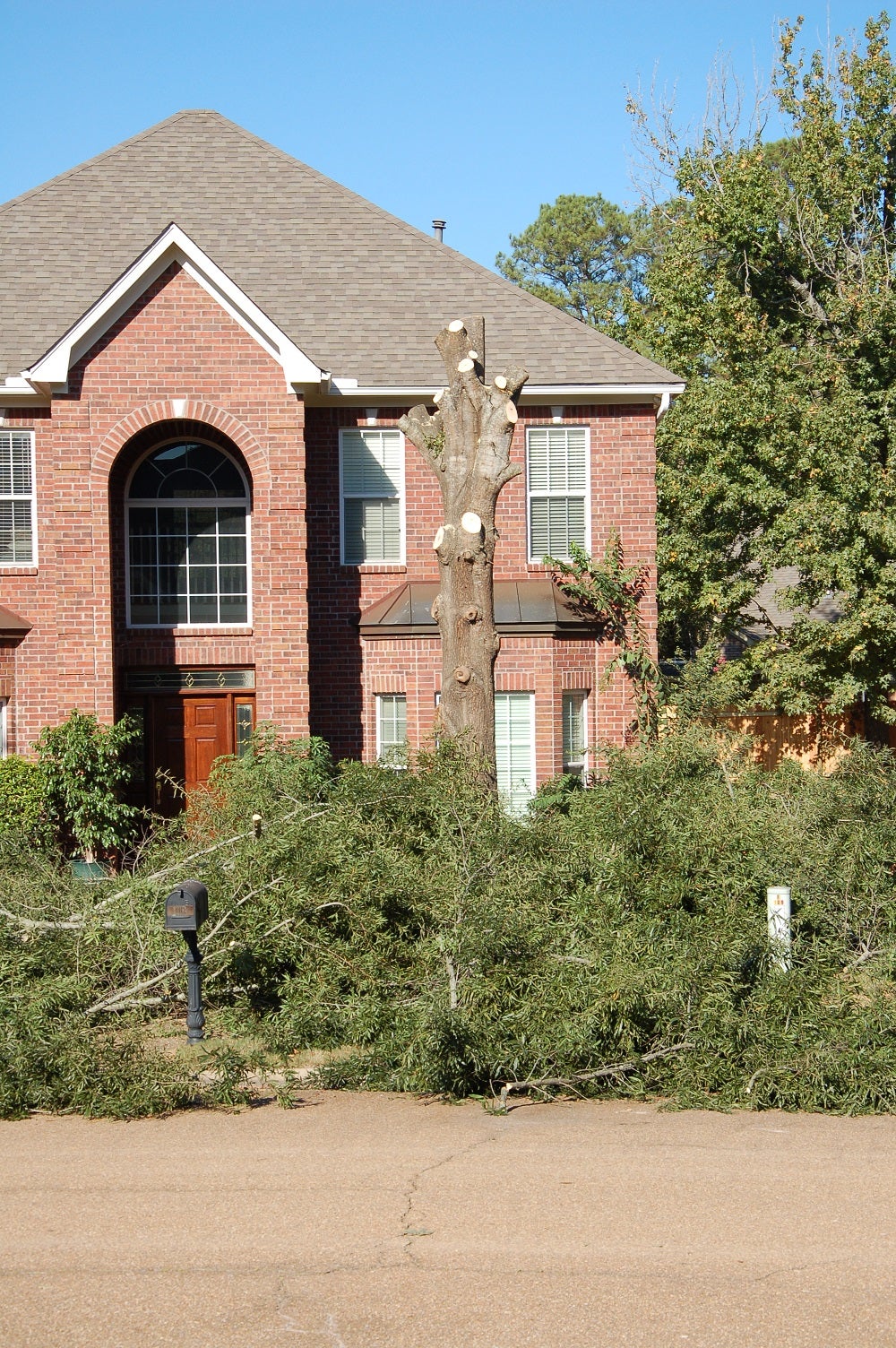 Destroying Urban Habitat