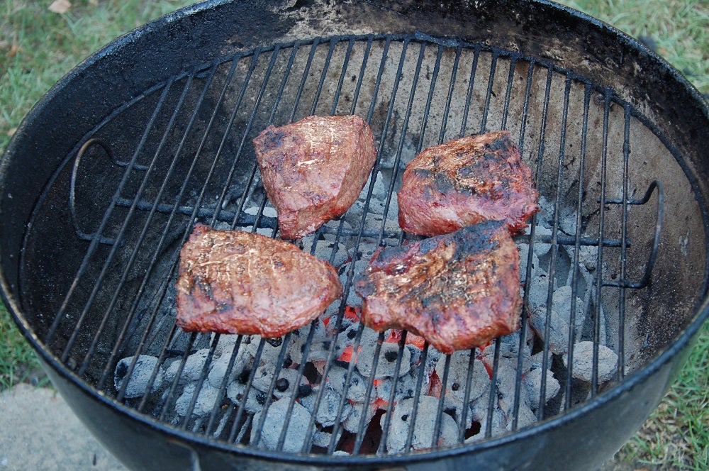 Mountain Lion Steak