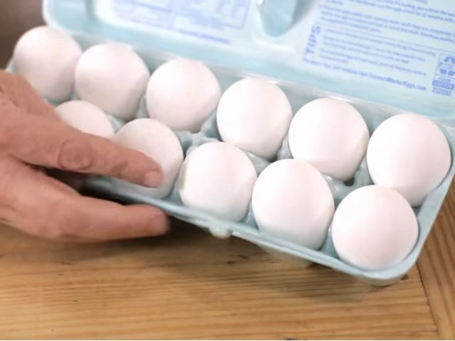 Six Historical Egg Preservation Techniques