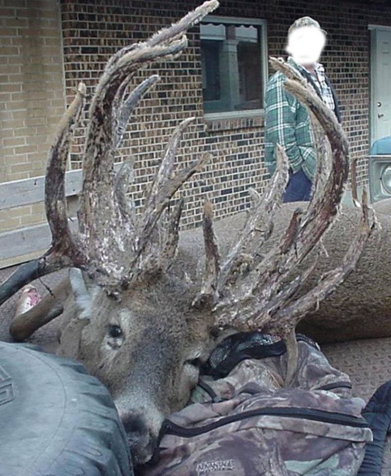 24 Photos Of Buck Deer With Super-Weird Racks - AllOutdoor.com