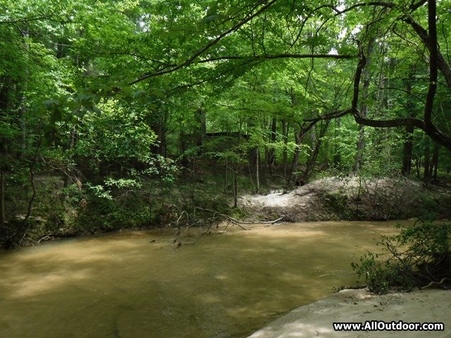 Camp house near creek