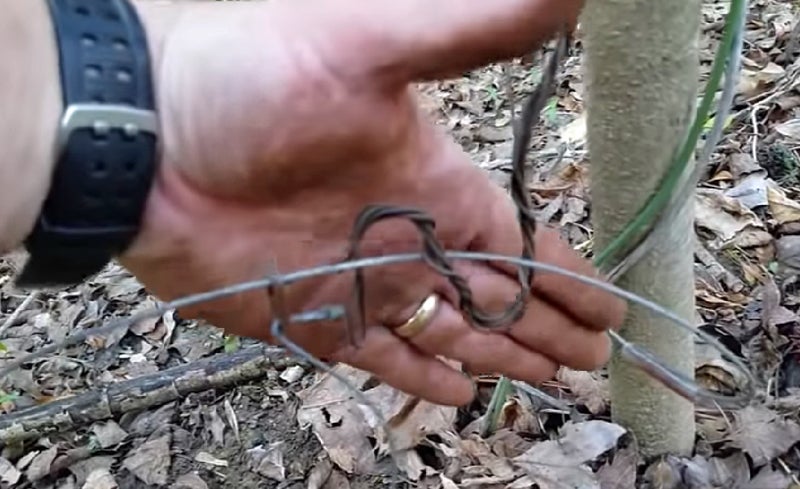 how-to-properly-set-a-rabbit-hare-snare-alloutdoor