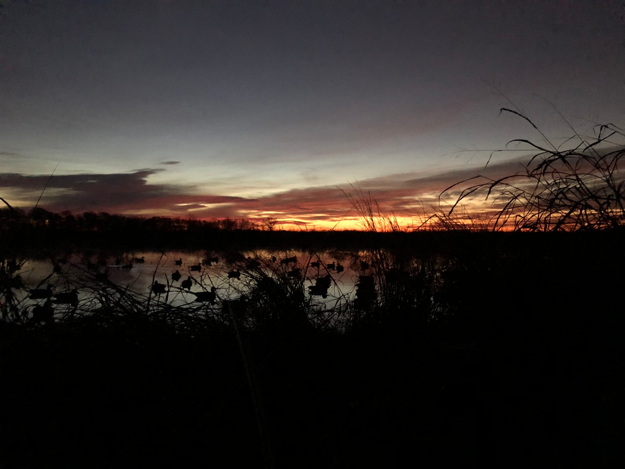 Southern Arkansas Waterfowl Hunting