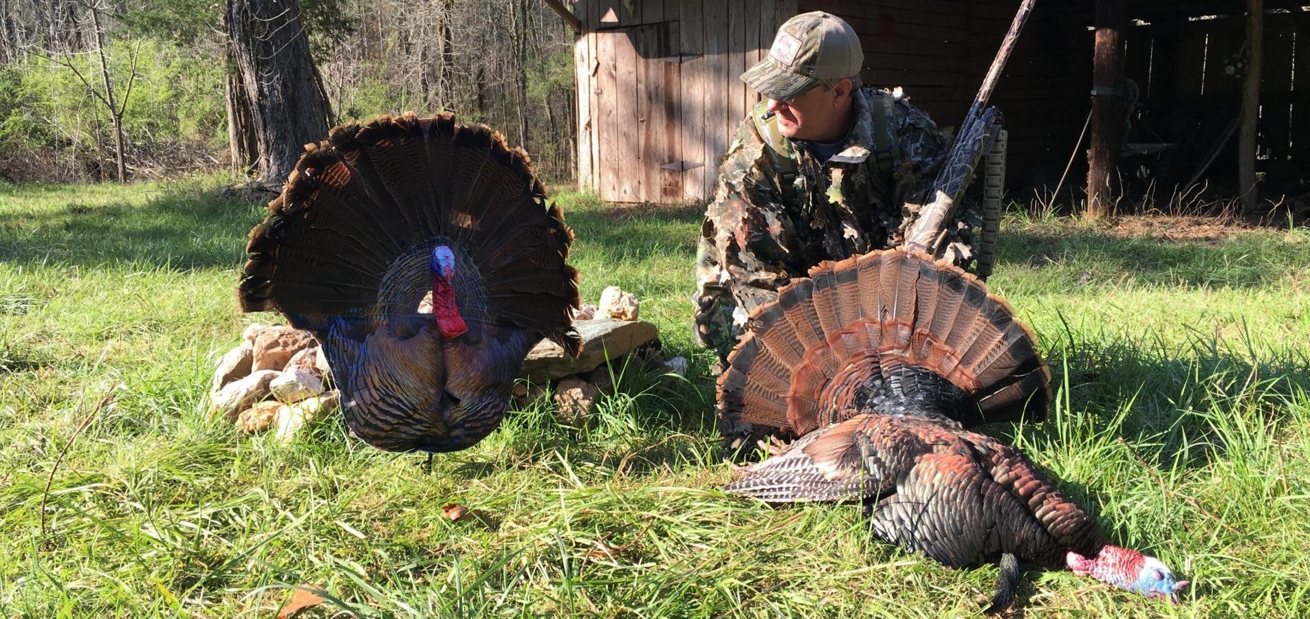 Montana Decoy Company Struts Out a NEW Wiley Tom Decoy