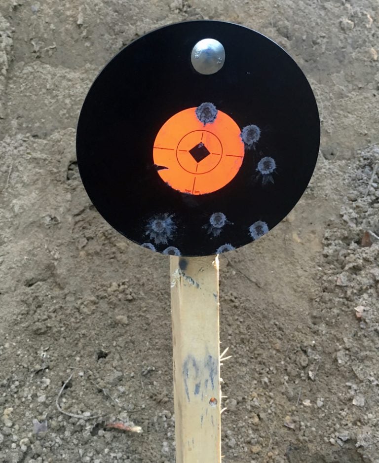 Review: Birchwood Casey 2x4 Steel Targets - AllOutdoor.com