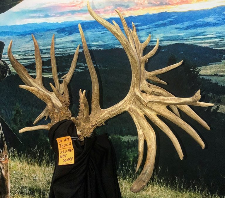 World-Record Whitetail Scores Even Higher Than Before - AllOutdoor.com