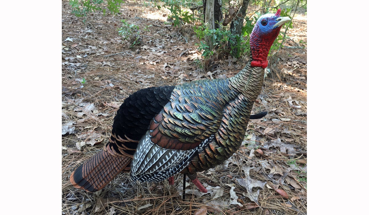 Avian-X HDR Jake Turkey Decoy Review