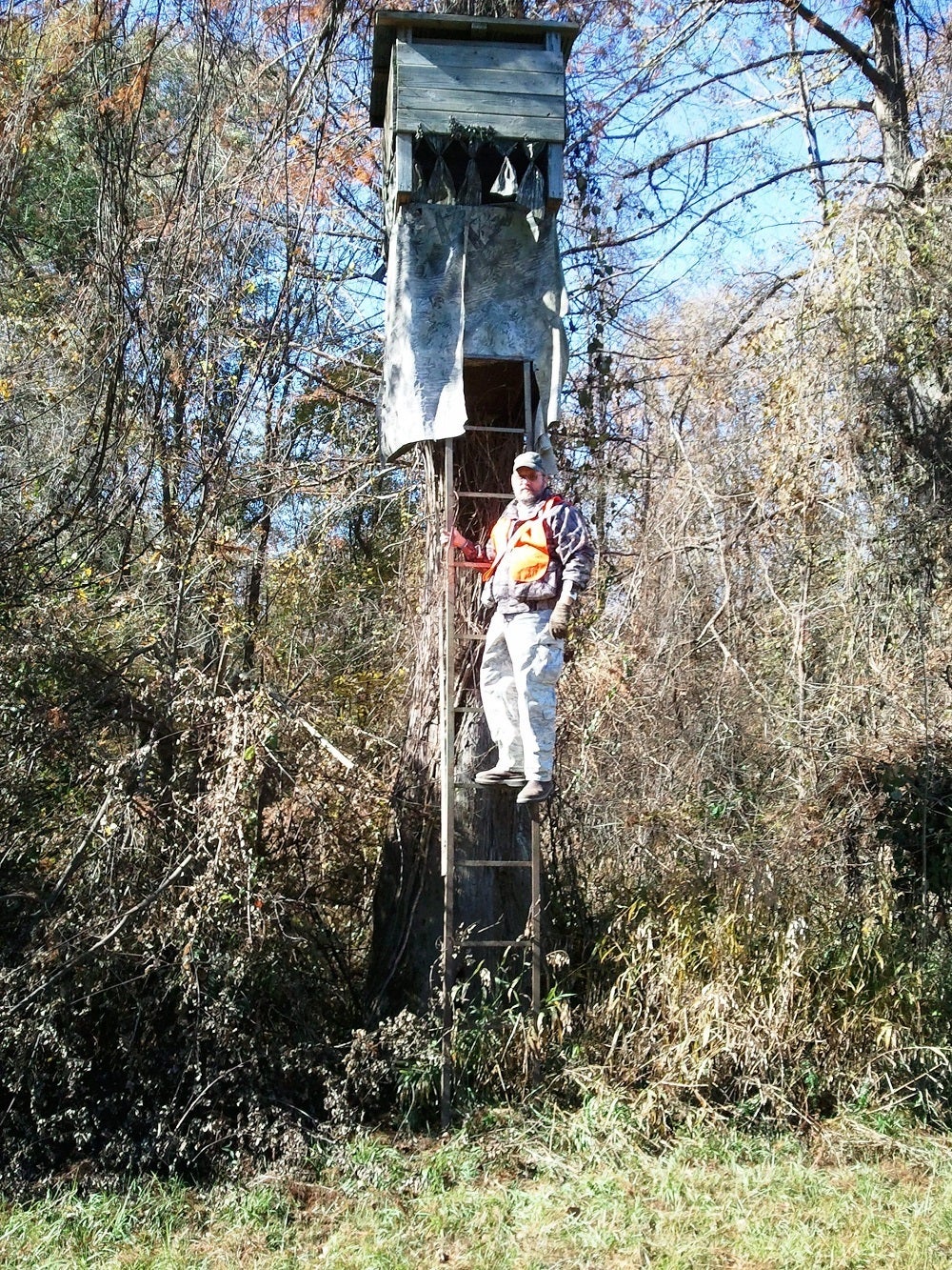 Ladder Stands