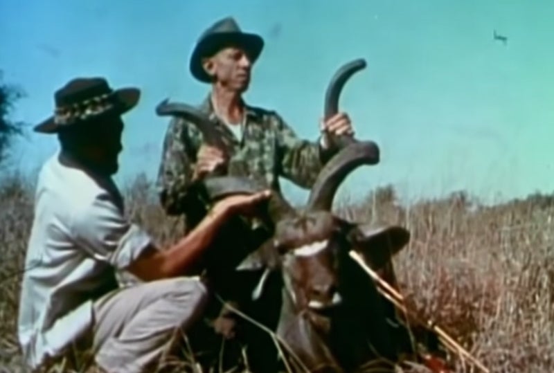 Fred Bear Archery Hunting in Africa