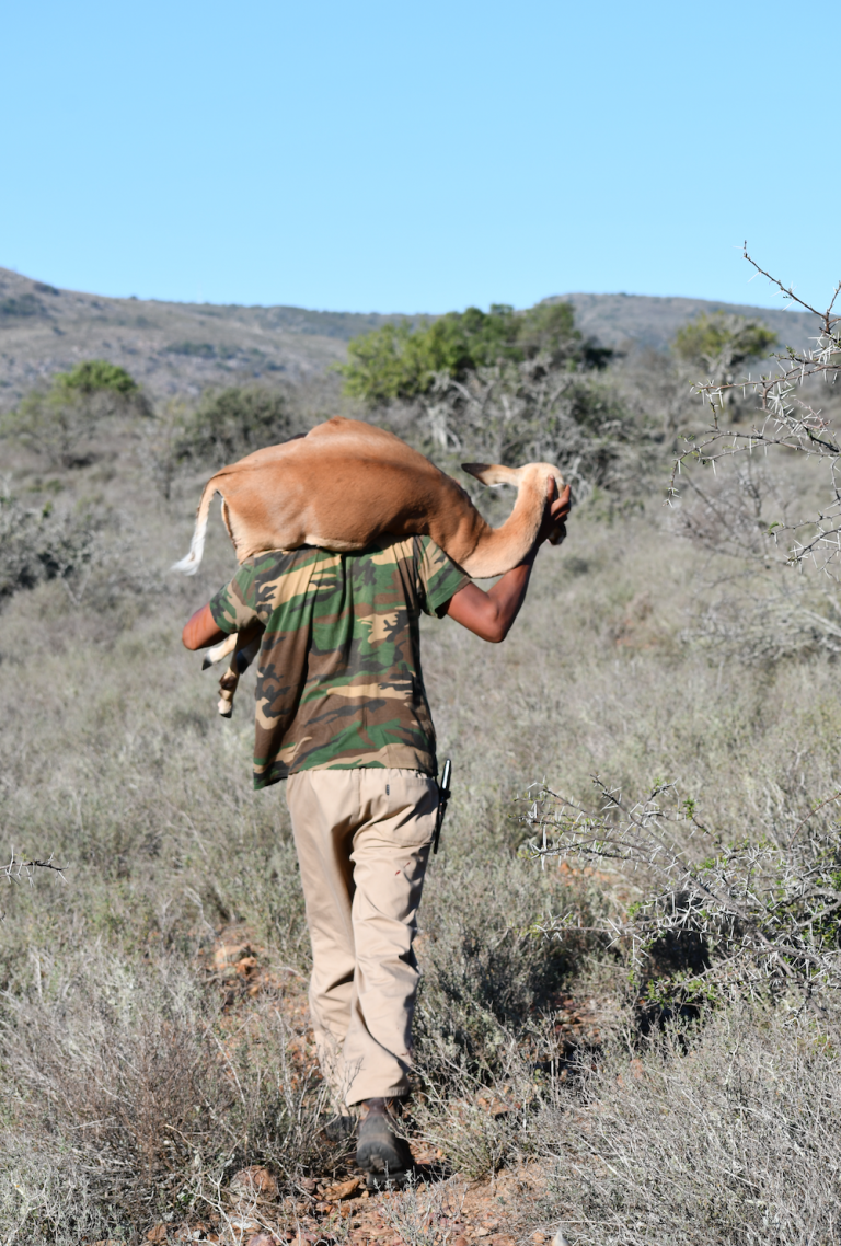 Hunting in Africa, What You Need to Know