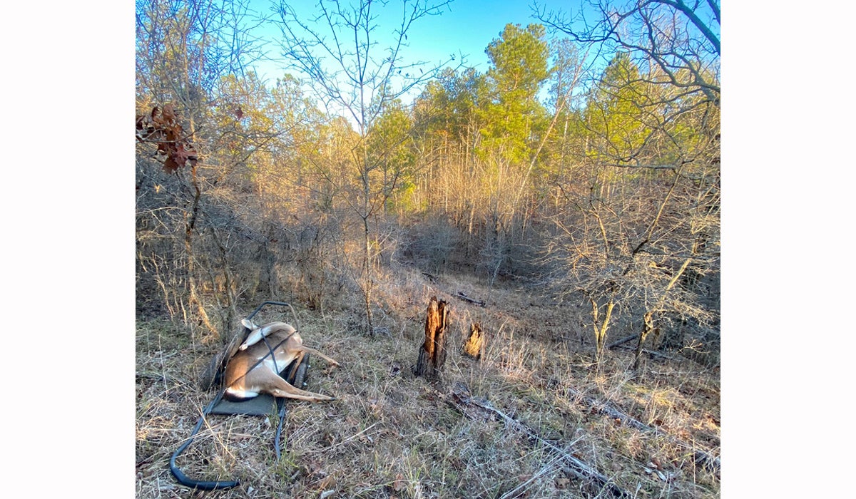 First Blood for the “SpringMaus” Custom Hunting Rifle