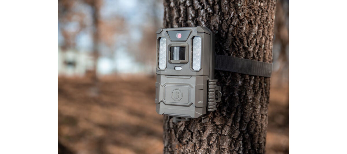 Bushnell’s New Prime Low Glow Trail Camera