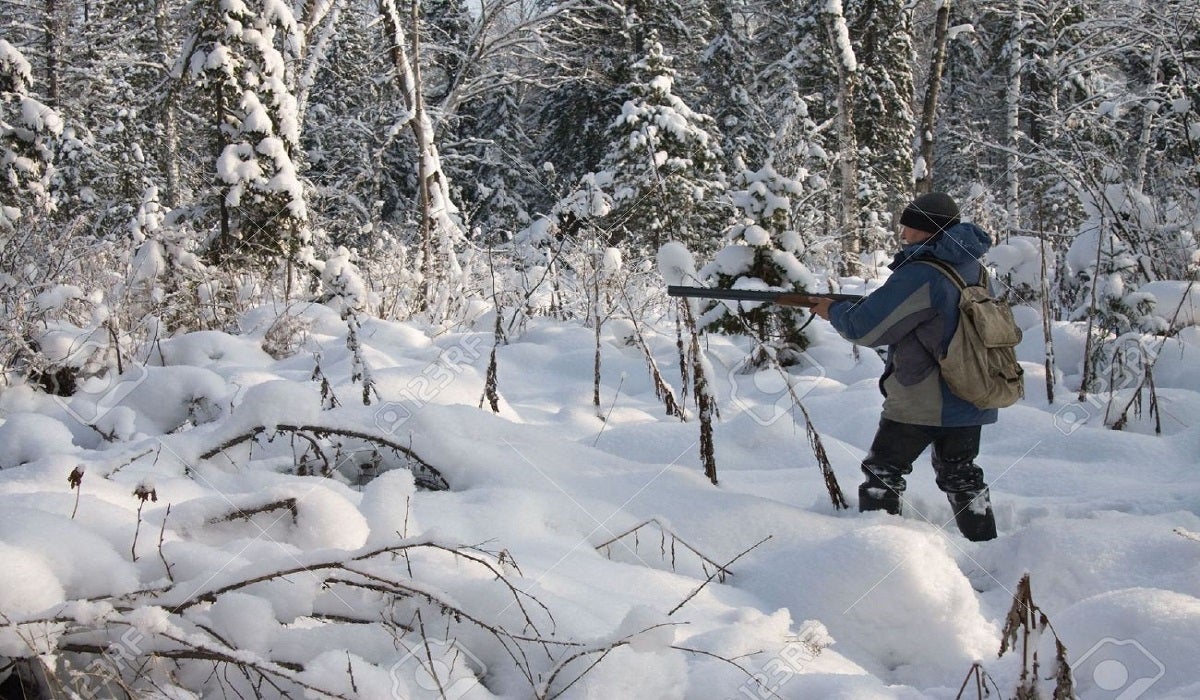 Winter Hunting: Embrace Your Cryobiology - AllOutdoor.com