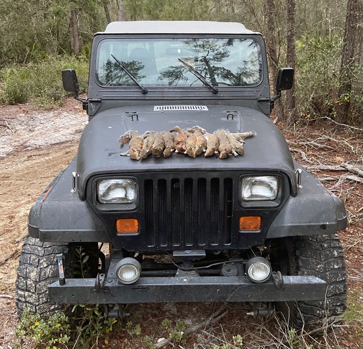 Master and Apprentice – The Best Squirrel Hunt of my Life