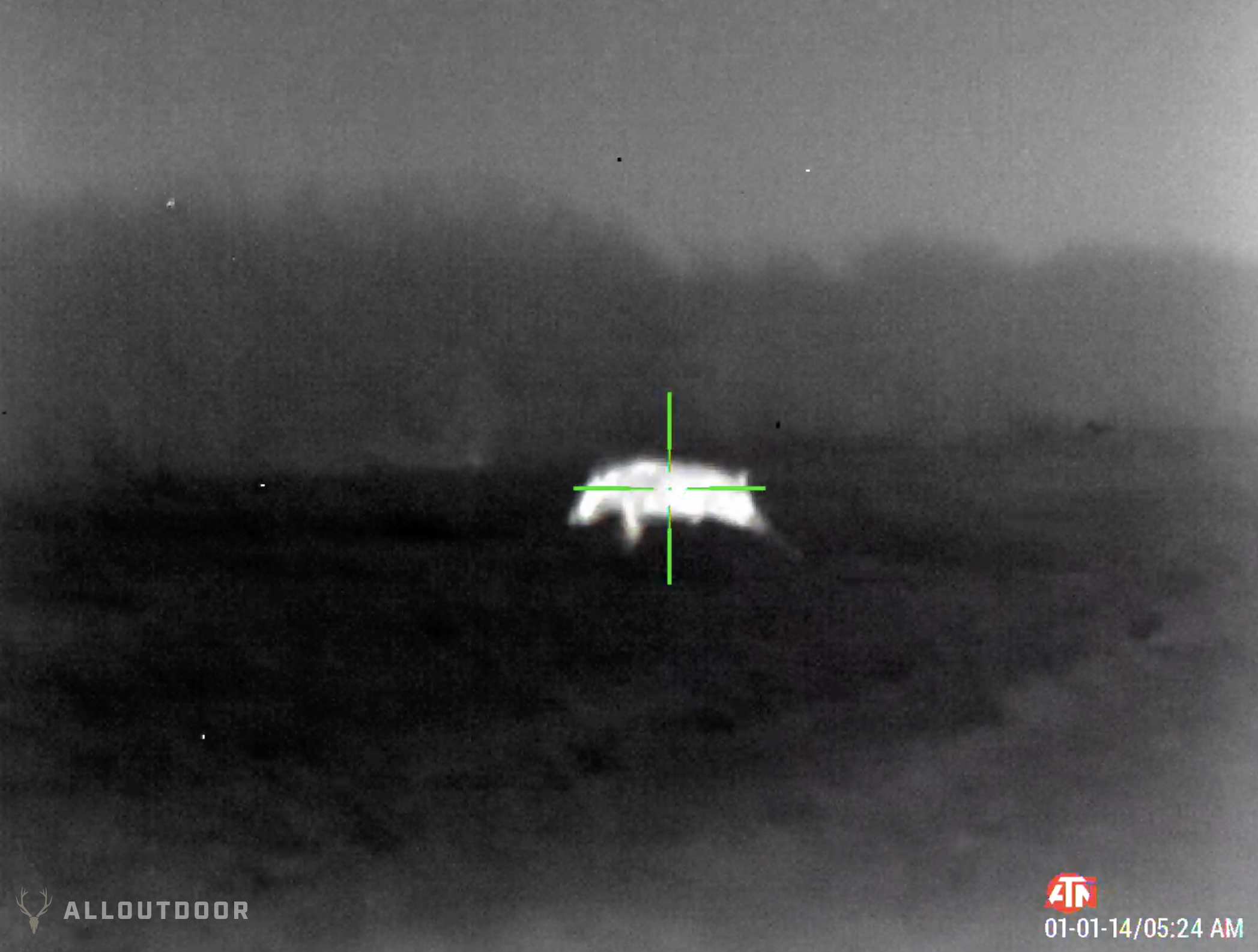 ATN Thermal/Night Vision Wild Hog & Coyote Hunt