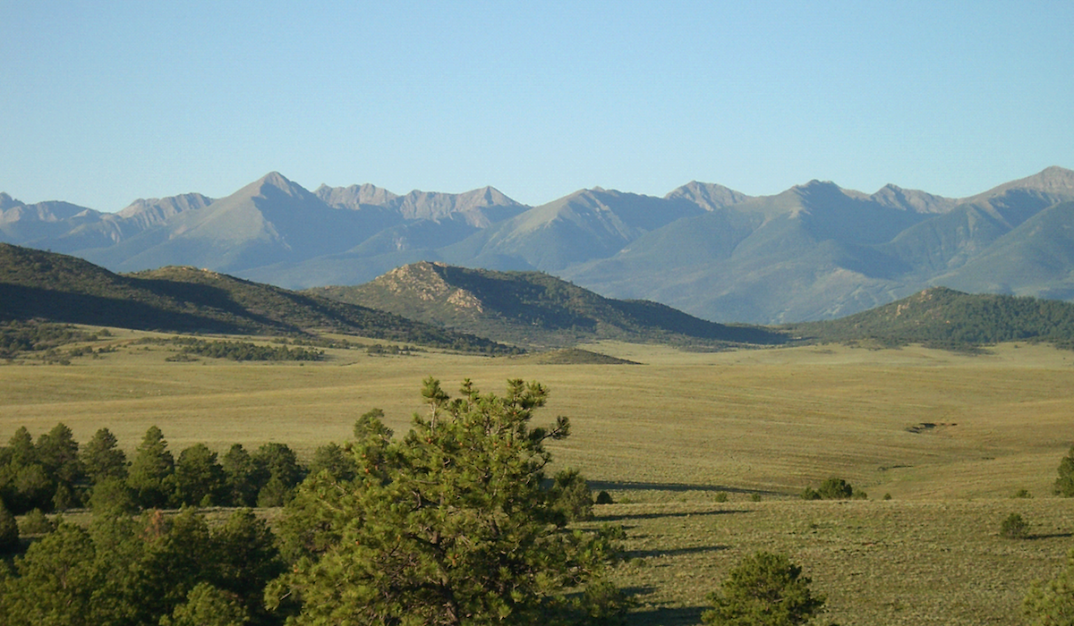 RMEF & Partners Grant $1.3 Million for Colorado Elk Habitat