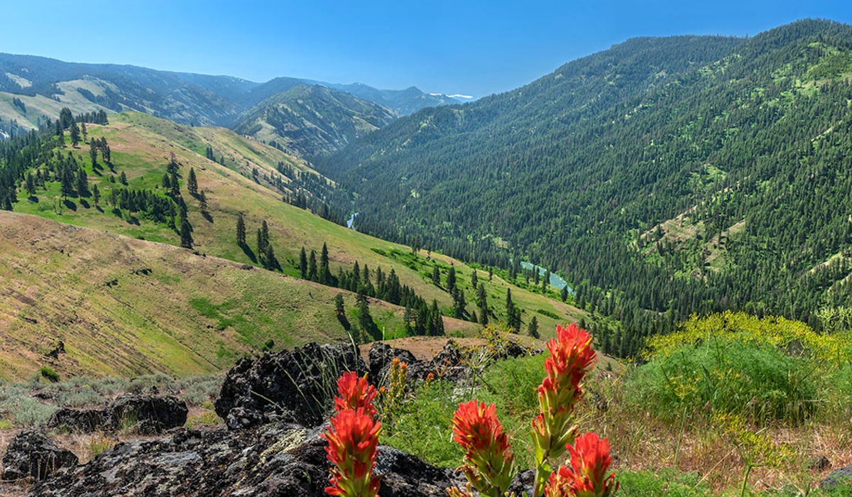 RMEF Works to Conserve 15,573 Acres of Oregon Elk Habitat