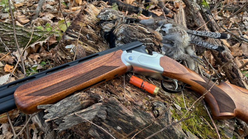 AllOutdoor Review: Savage Stevens 555 Sporting Over/Under