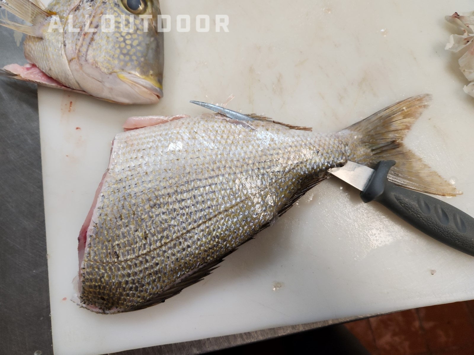 Cook your Catch - Knobbed Porgy (Chinese Steamed Fish)