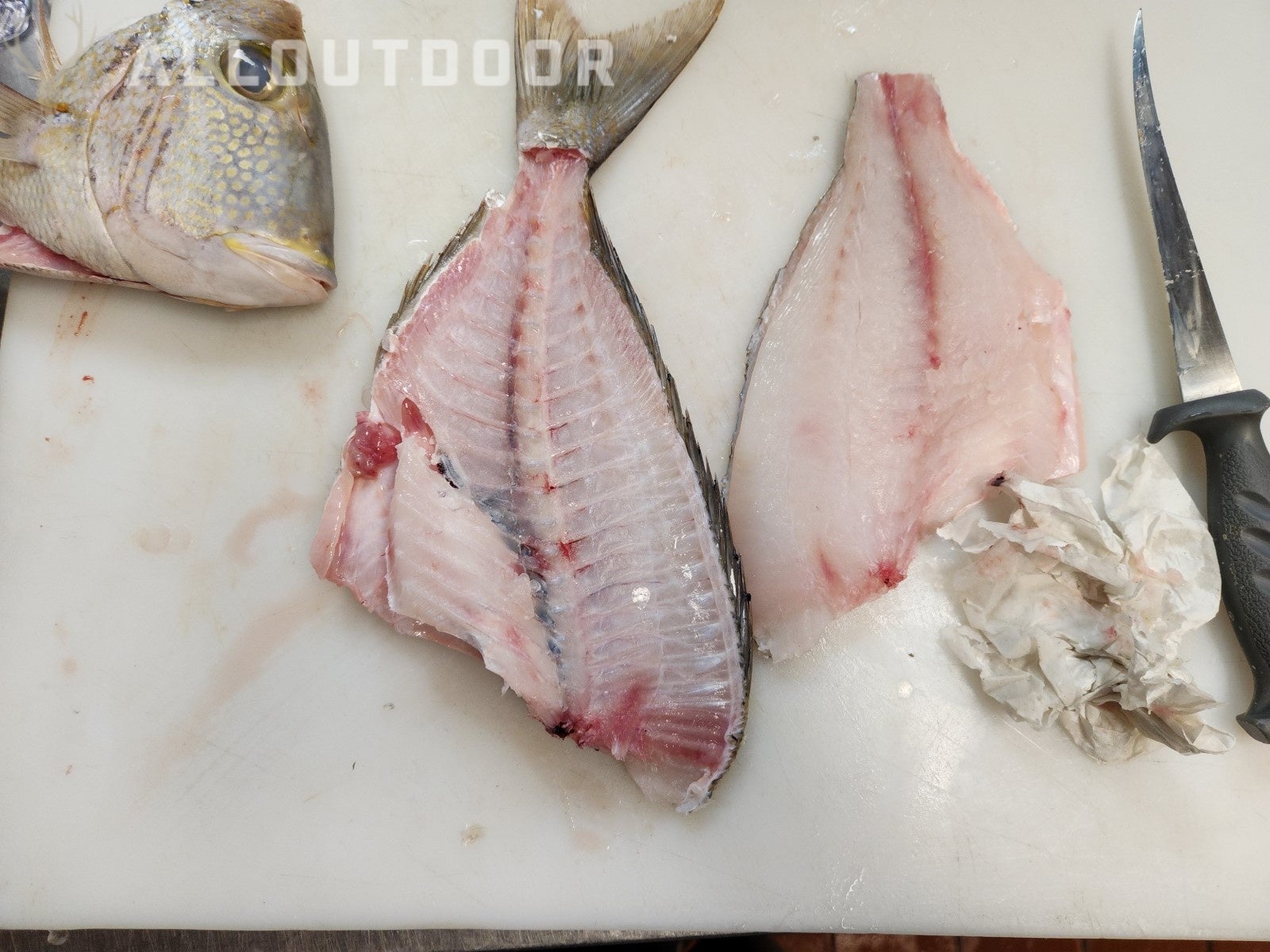 Cook your Catch - Knobbed Porgy (Chinese Steamed Fish)