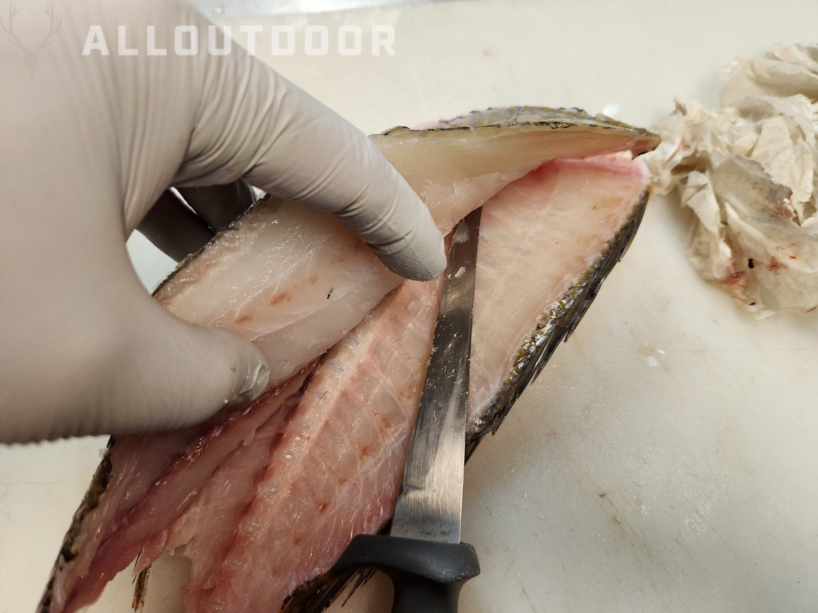 Cook your Catch - Knobbed Porgy (Chinese Steamed Fish)