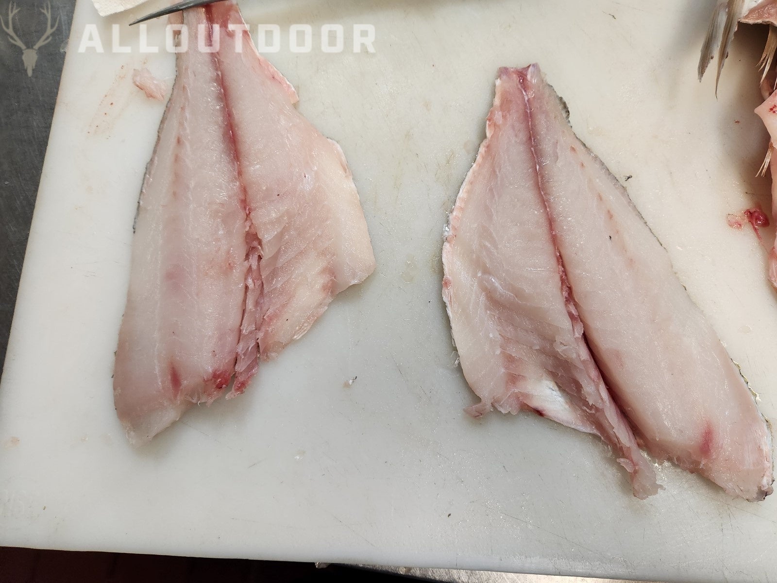 Cook your Catch - Knobbed Porgy (Chinese Steamed Fish)