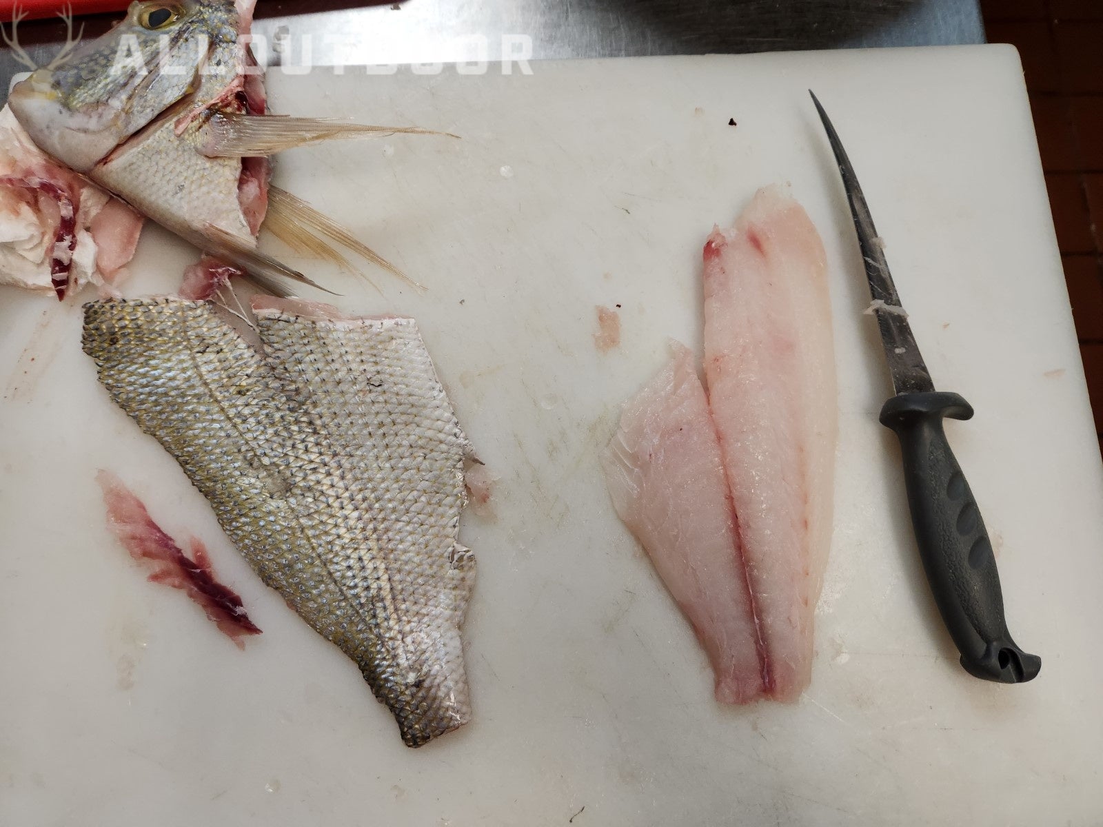 Cook your Catch - Knobbed Porgy (Chinese Steamed Fish)