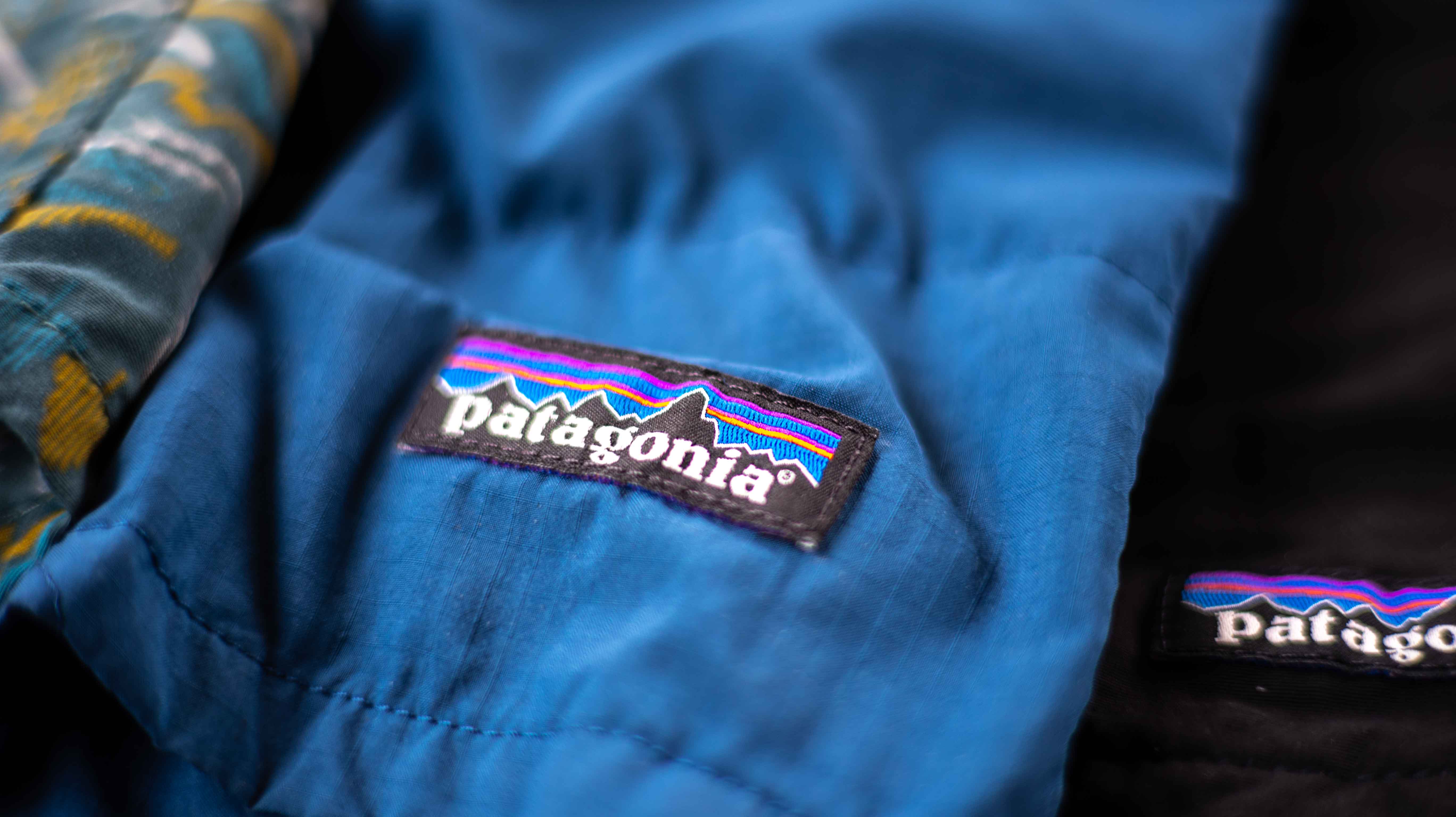 Patagonia Baggies Shorts