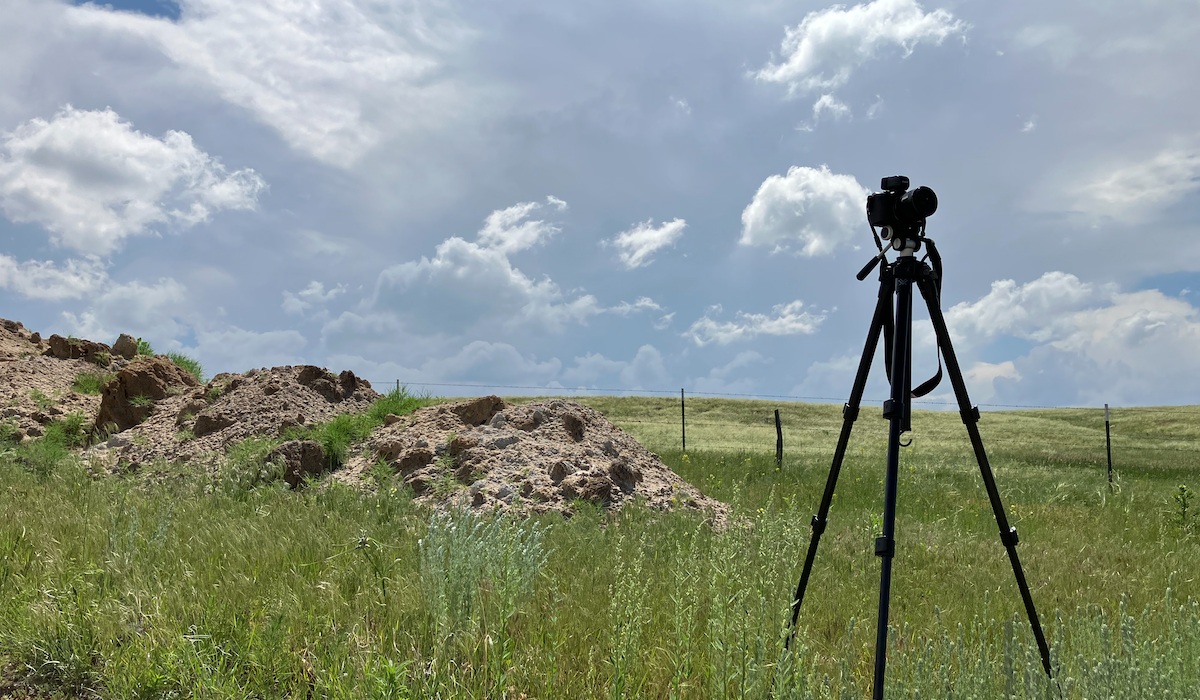 AllOutdoor Review: The Vortex Optics Mountain Pass Tripod