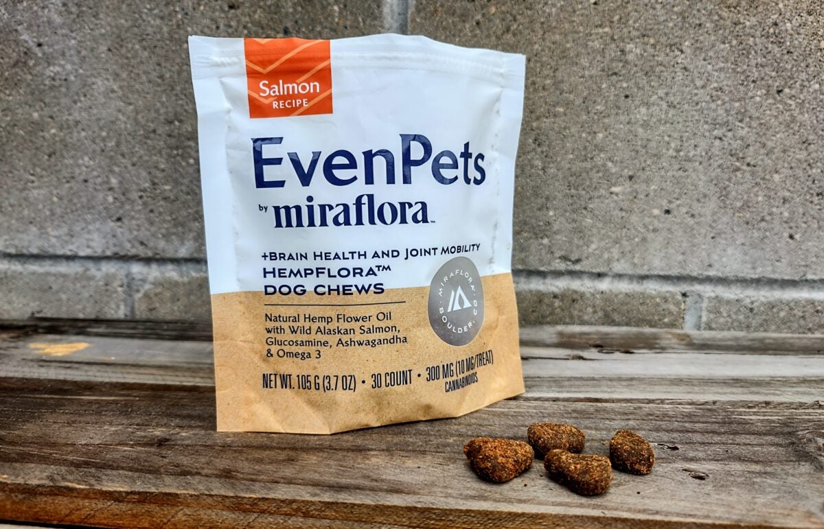 AllOutdoor Review: Miraflora Naturals – EvenPets CBD Dog Chews