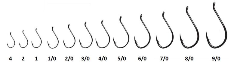 The Guide to Fishing Hooks: Types, Sizes & Use for all your Fishing Needs