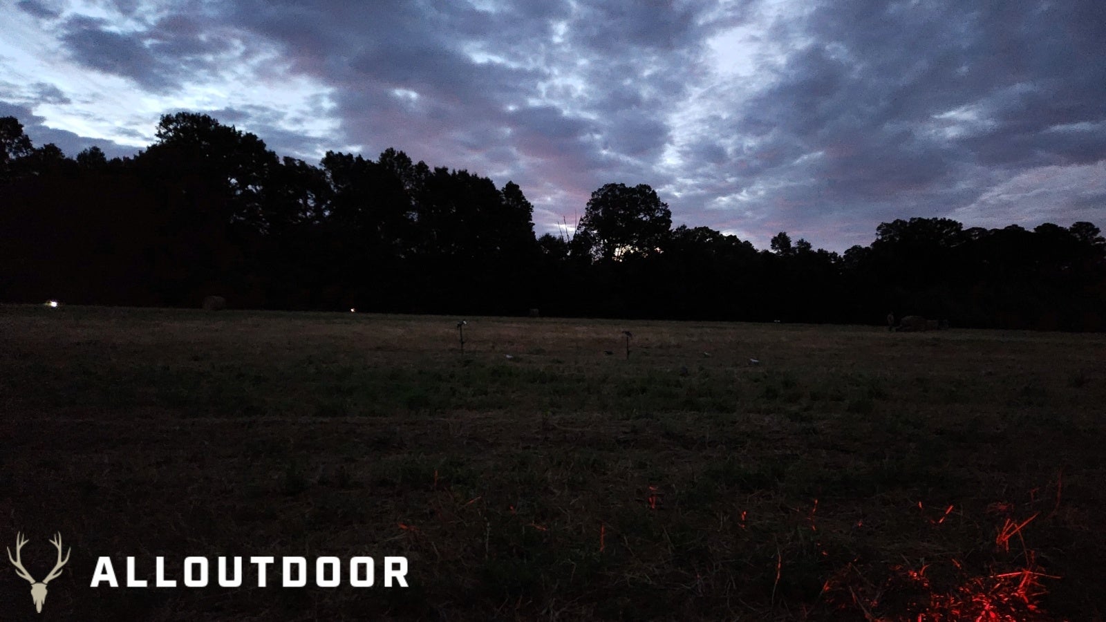 Opening Day Georgia Public Land Dove Hunting