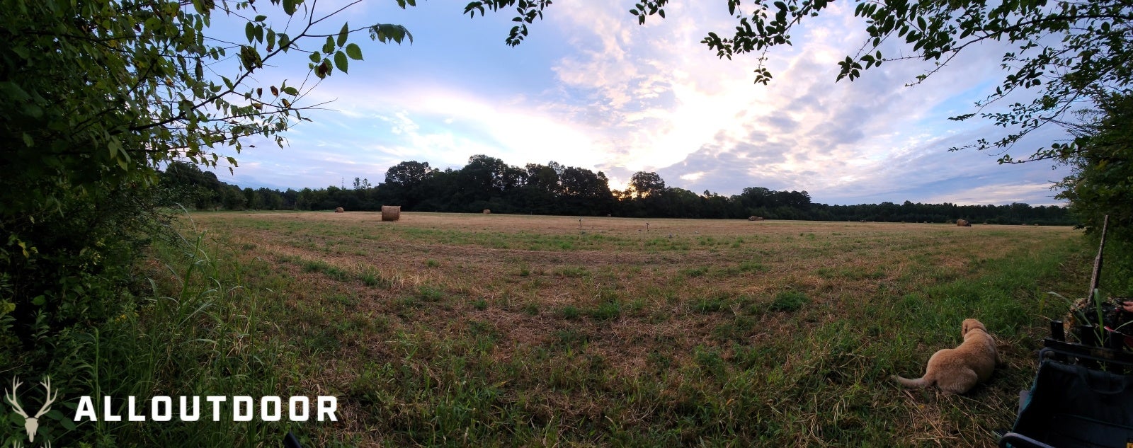 Opening Day in Georgia – Public Land Dove Hunting