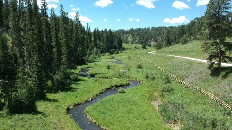 RMEF Achieves $1.45 Million in Grant Funding for South Dakota Wildlife