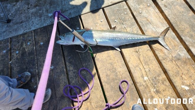 Feast or Famine: October Pier Fishing in Panama City Beach – Part 1