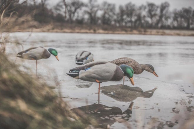 Millennium Marine B-Series Seats in MO Bottomland & Shadow Grass