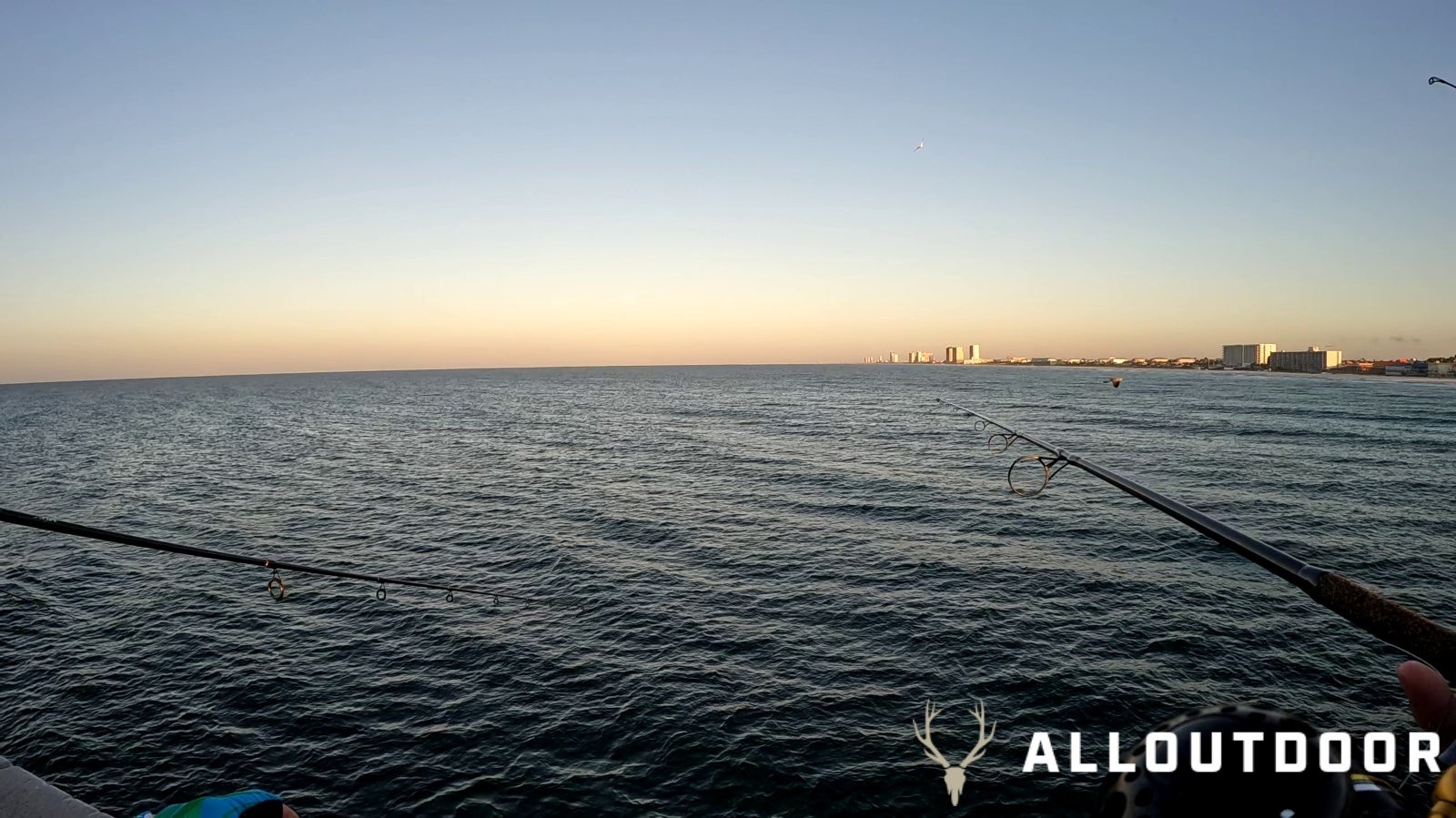 Feast or Famine - October Pier Fishing in PCB